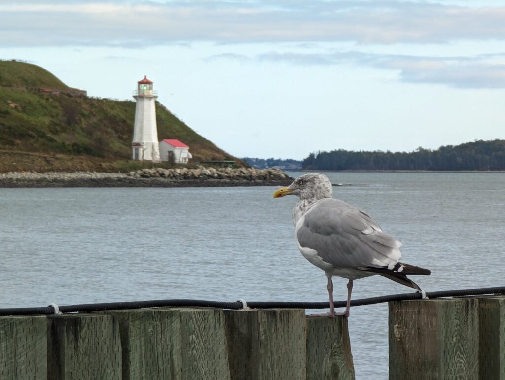 Halifax